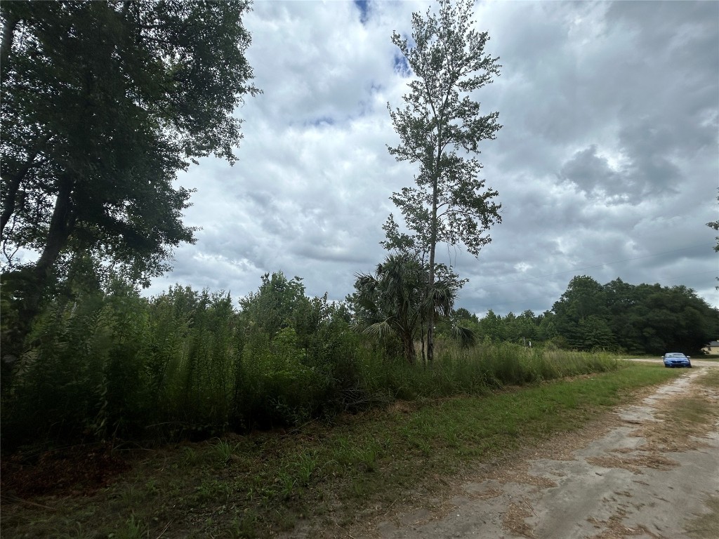 77111 Farmerville Way, Yulee, Florida image 19