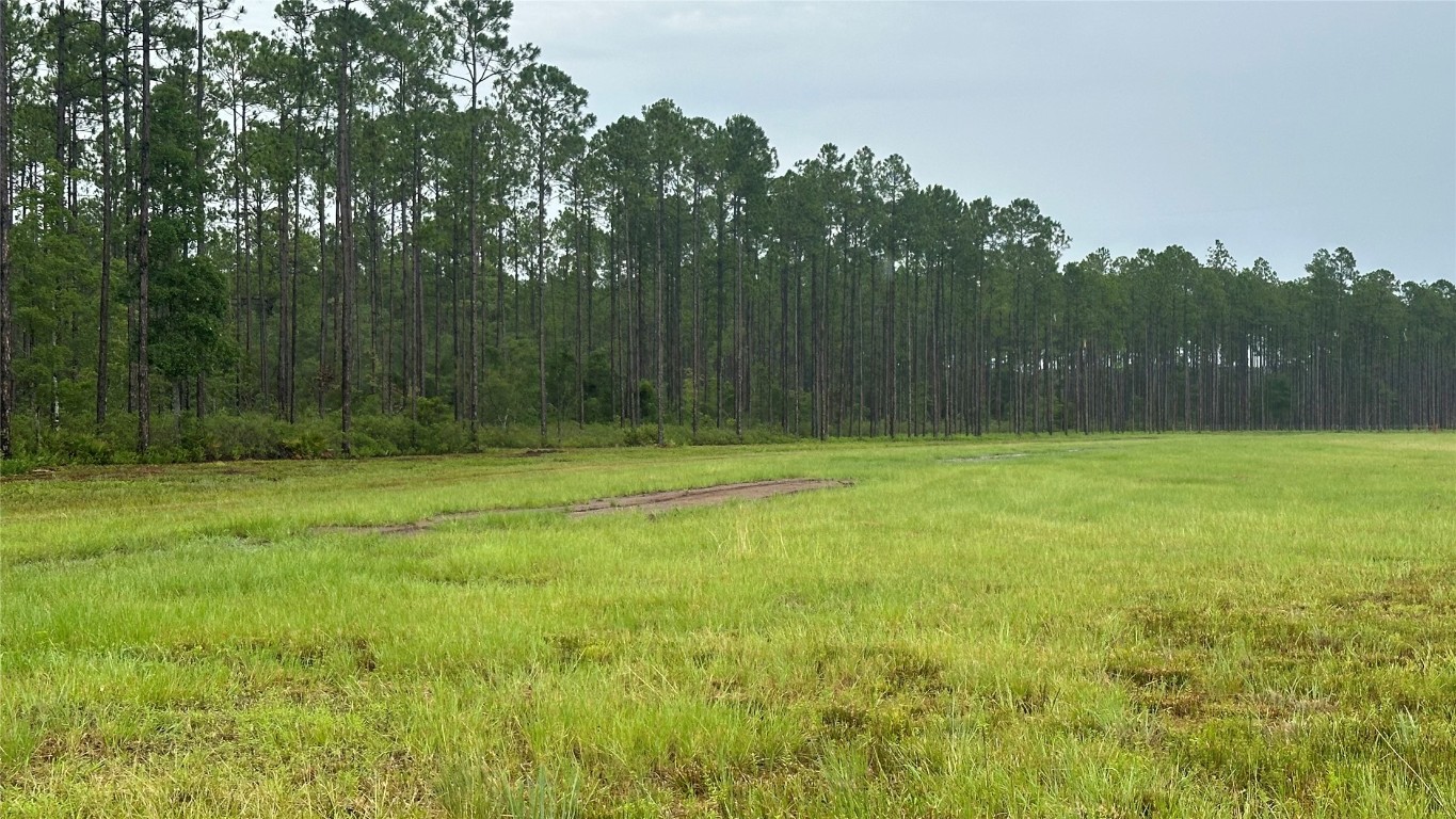 6008 Us Hwy 301, Bryceville, Florida image 7