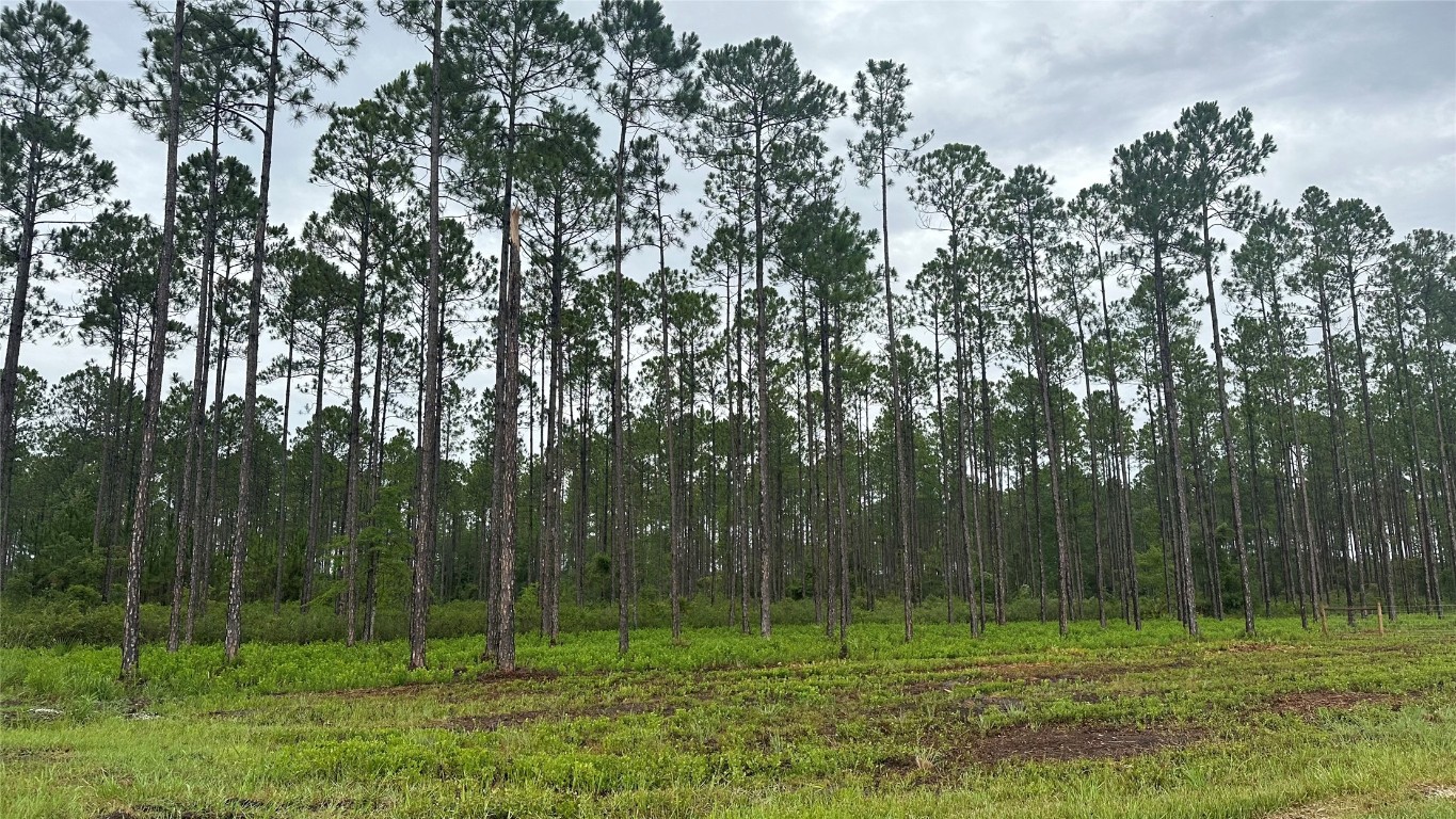 6008 Us Hwy 301, Bryceville, Florida image 6