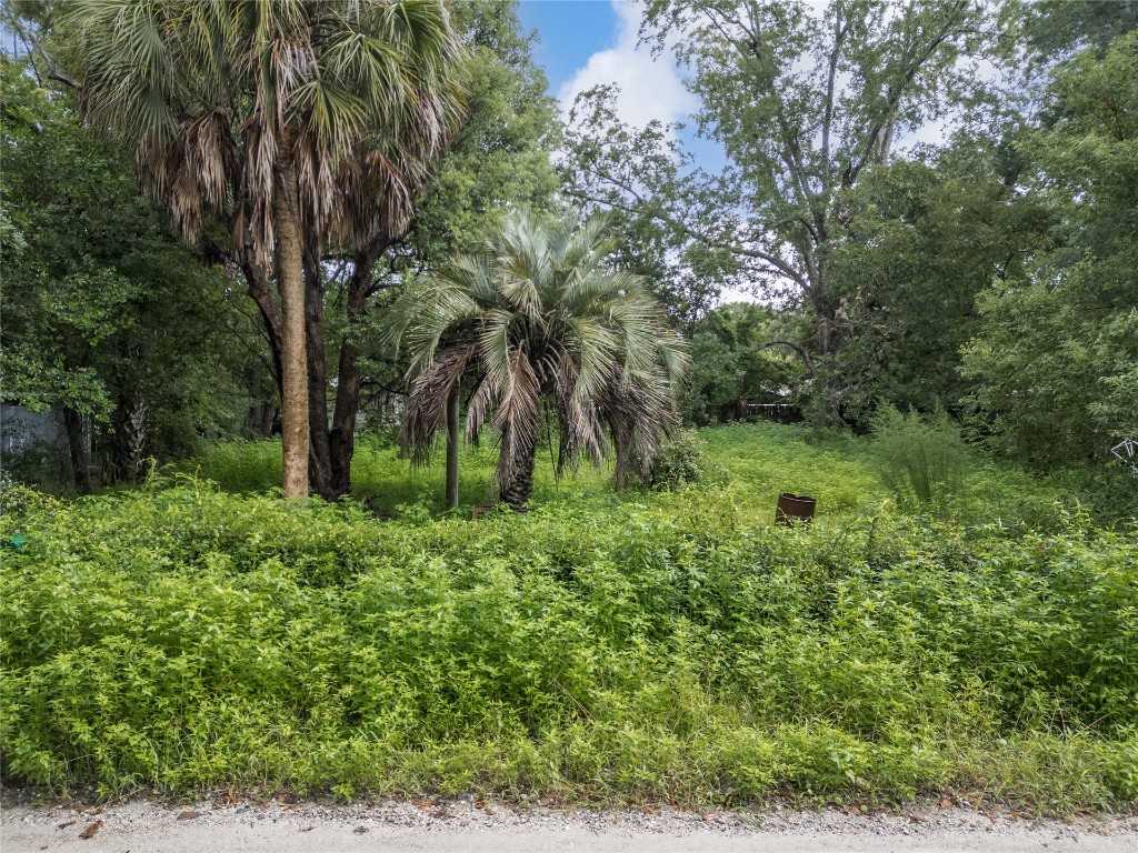 86082 Jones Road, Yulee, Florida image 9