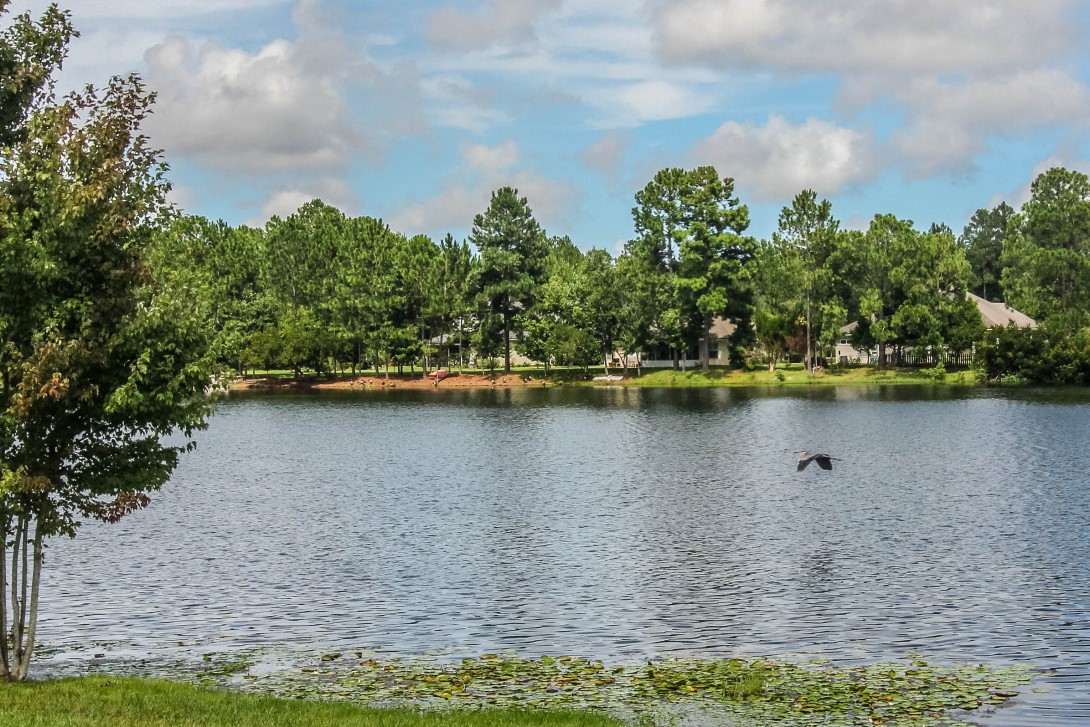 23671 Bahama Point #1225, Fernandina Beach, Florida image 31