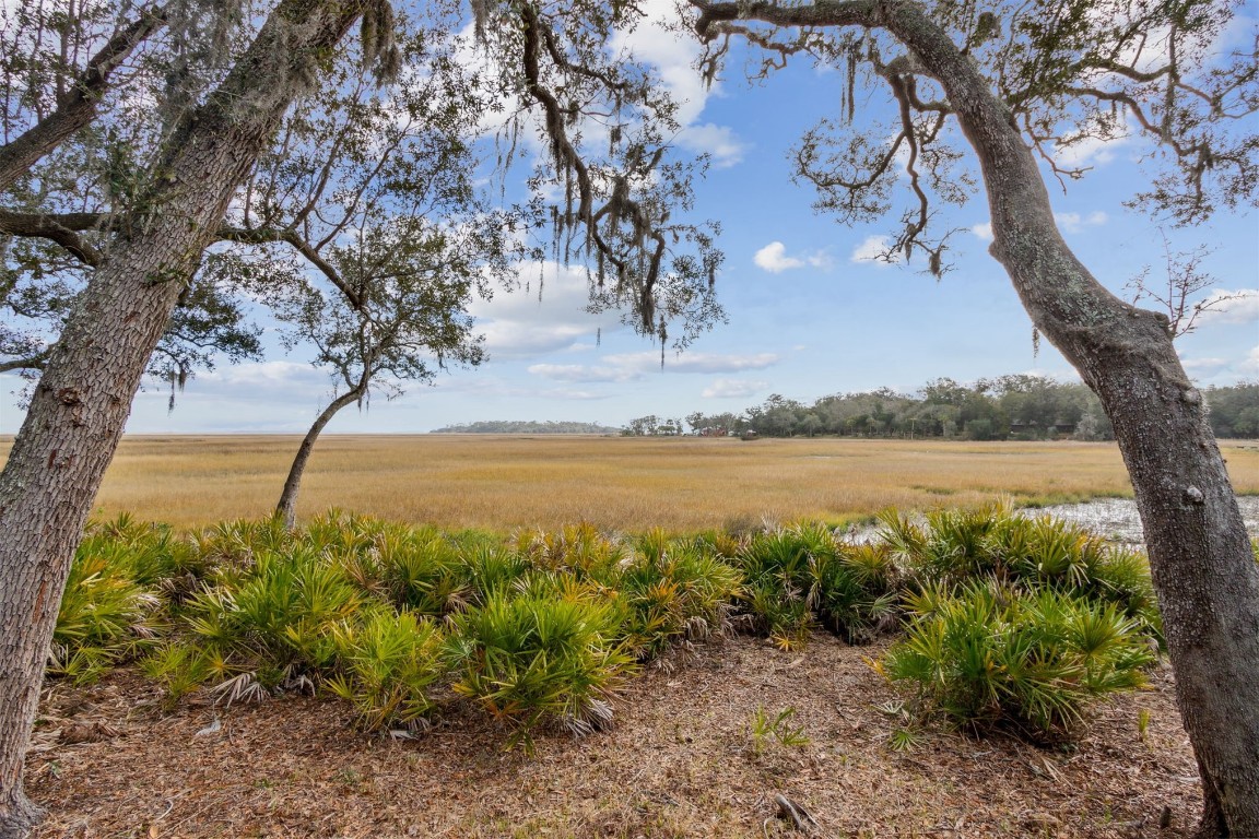 28844 Grandview Manor, Yulee, Florida image 42