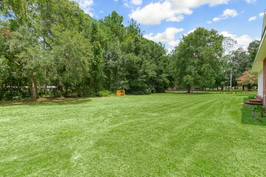 585 Whoa Lane, Bryceville, Florida image 8