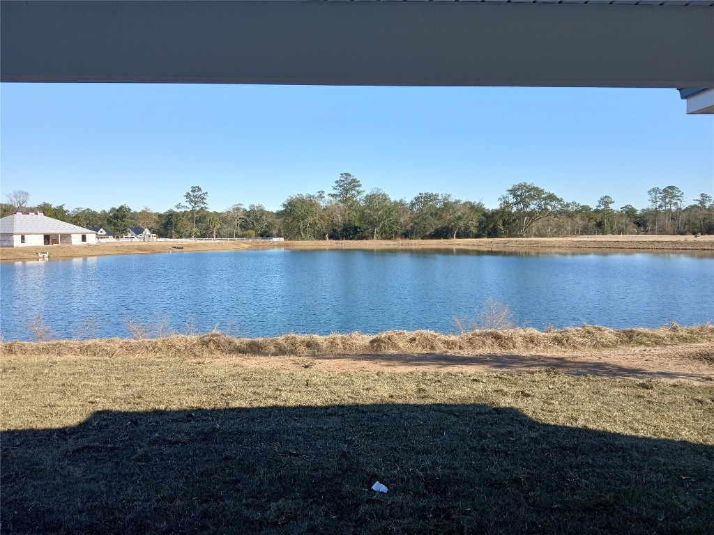 96954 Mcgirts Creek Loop, Yulee, Florida image 4