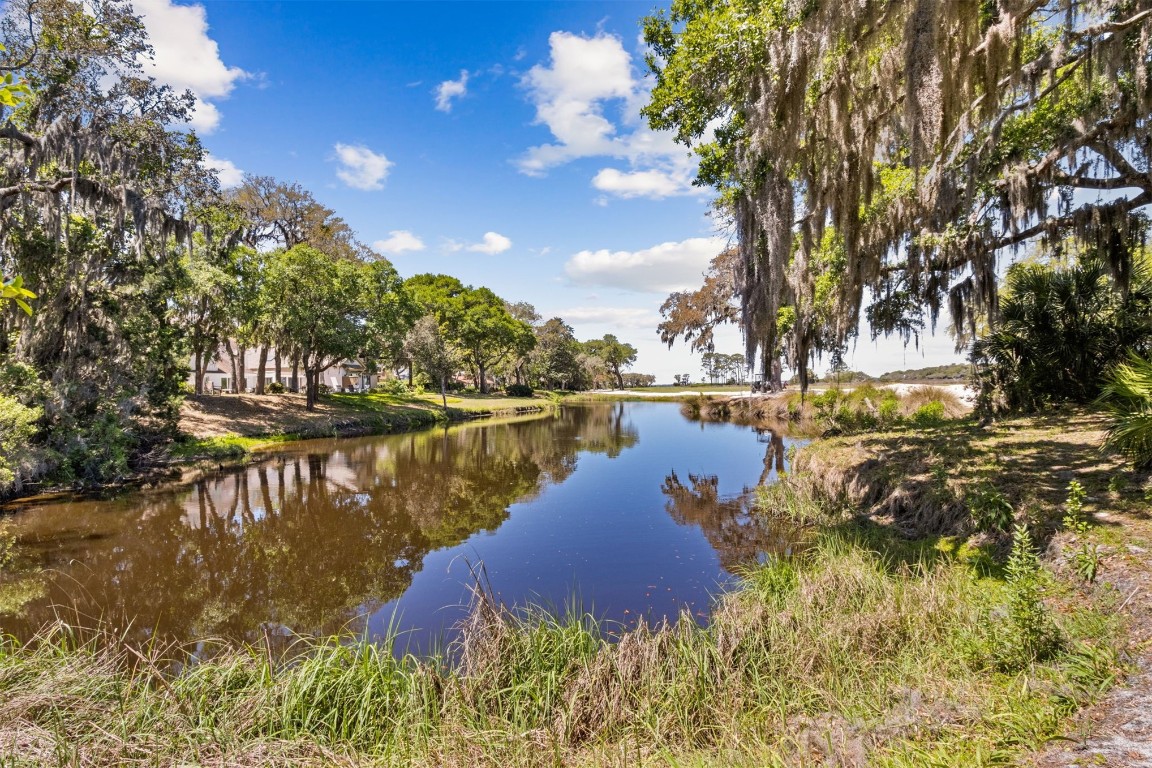 1 Marsh Creek Road, Amelia Island, Florida image 29