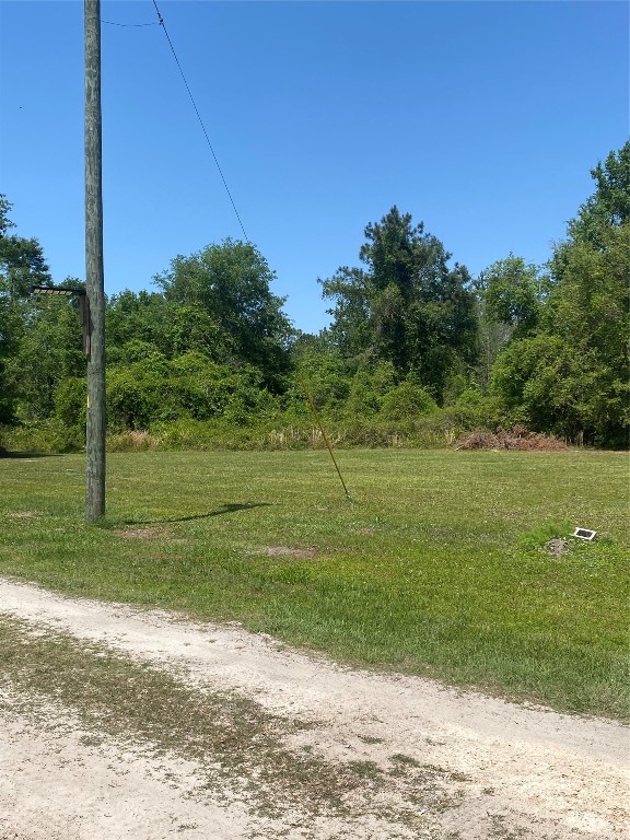 2749 Parmenter Road, Bryceville, Florida image 6