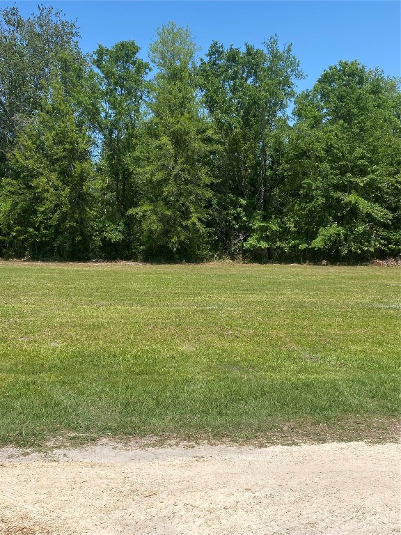 2749 Parmenter Road, Bryceville, Florida image 5