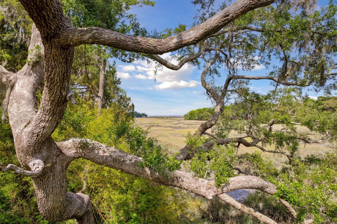 Blackrock Road, Yulee, Florida image 9