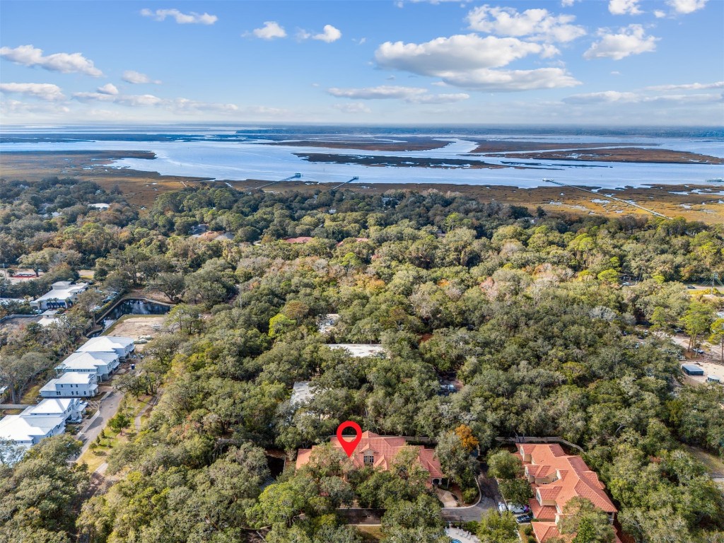 95026 San Remo Dr #3B, Amelia Island, Florida image 33