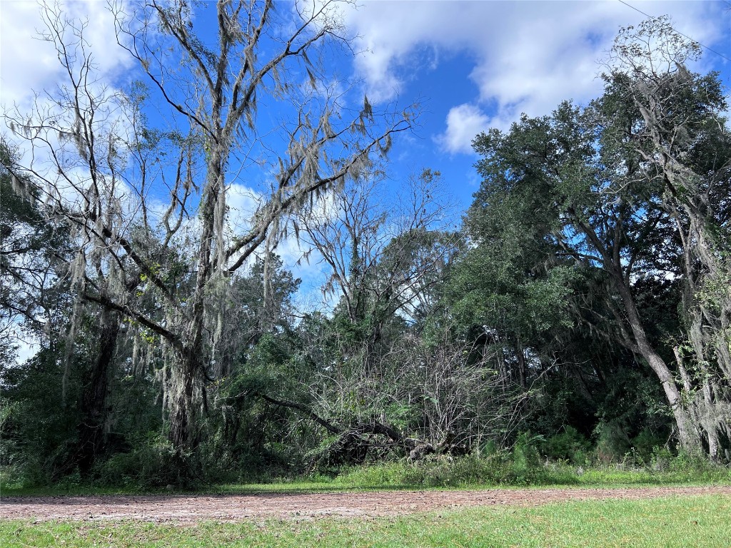 Morgan Circle, Callahan, Florida image 14