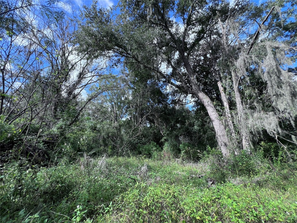 Morgan Circle, Callahan, Florida image 4