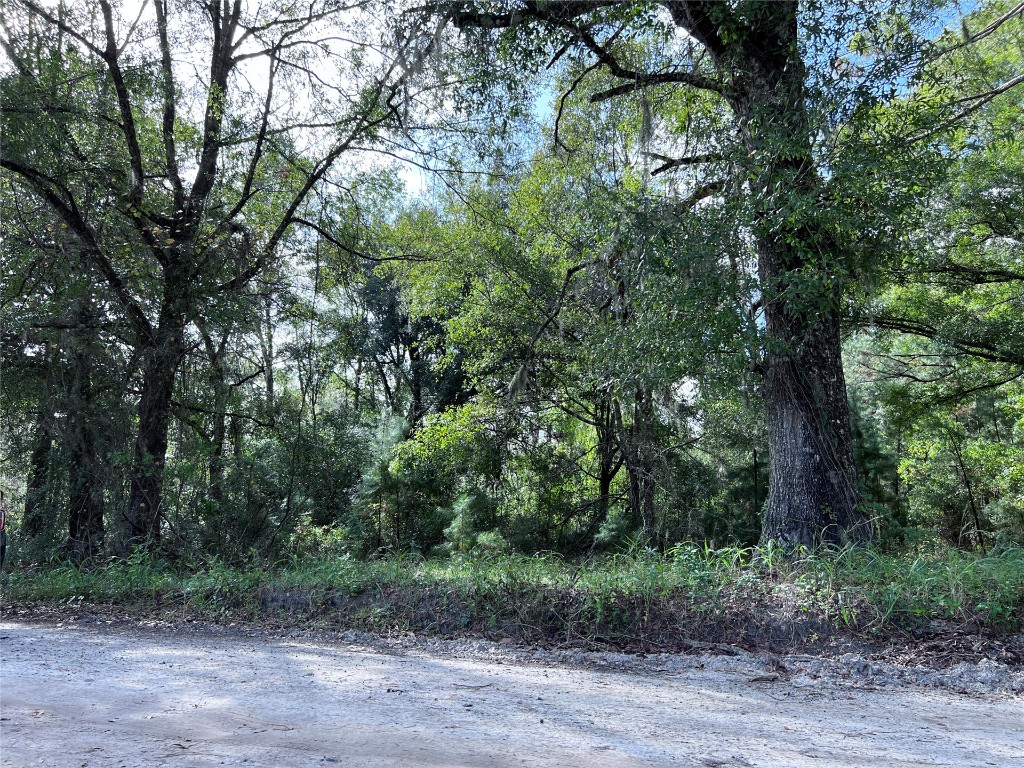 Morgan Circle, Callahan, Florida image 16