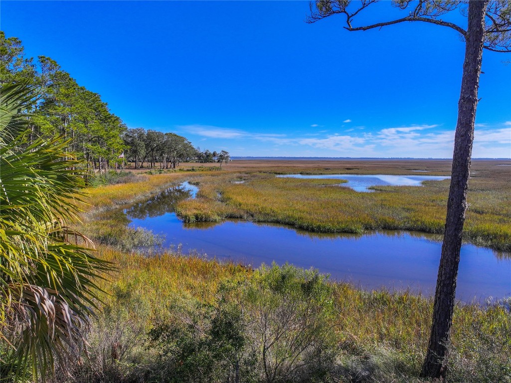 940110 Old Nassauville Road, Fernandina Beach, Florida image 8