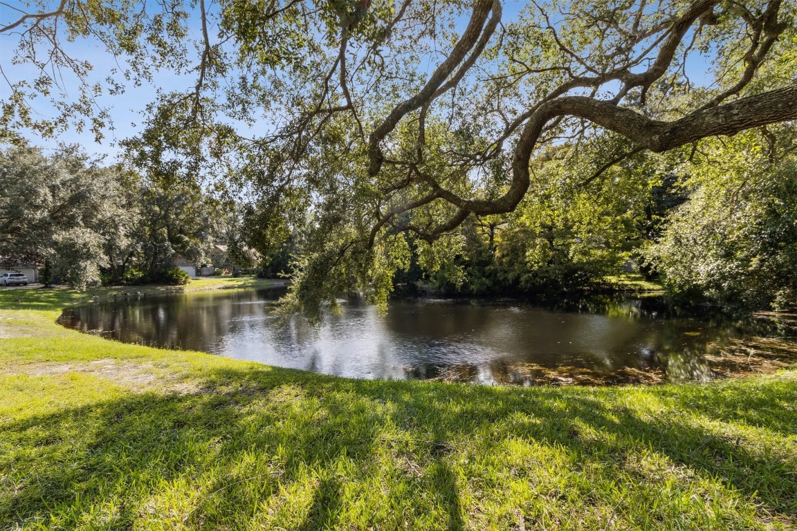 1604 Canterbury Lane, Fernandina Beach, Florida image 29