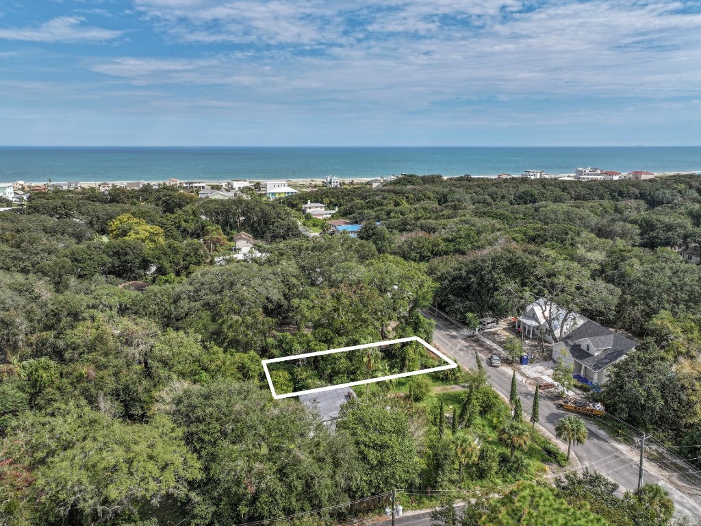 Lewis Street (lot 9), Fernandina Beach, Florida image 2