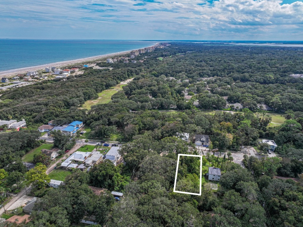 Lewis Street (lot 9), Fernandina Beach, Florida image 4