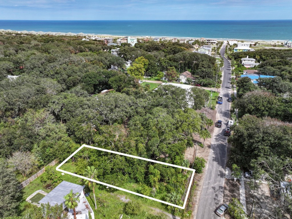 Lewis Street (lot 9), Fernandina Beach, Florida image 3