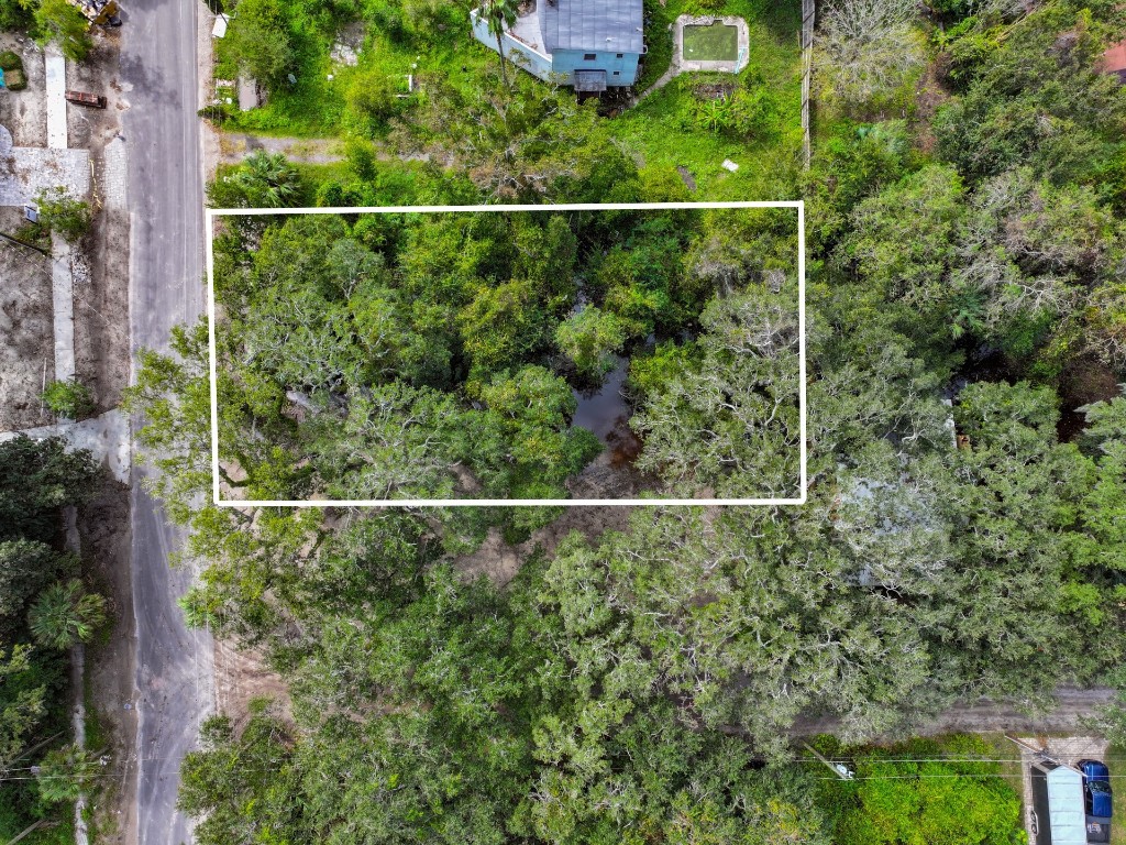 Lewis Street (lot 9), Fernandina Beach, Florida image 9