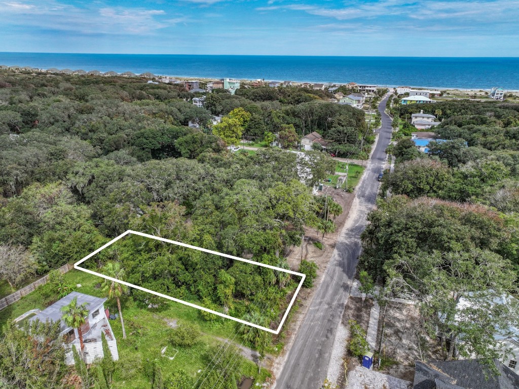 Lewis Street (lot 9), Fernandina Beach, Florida image 10