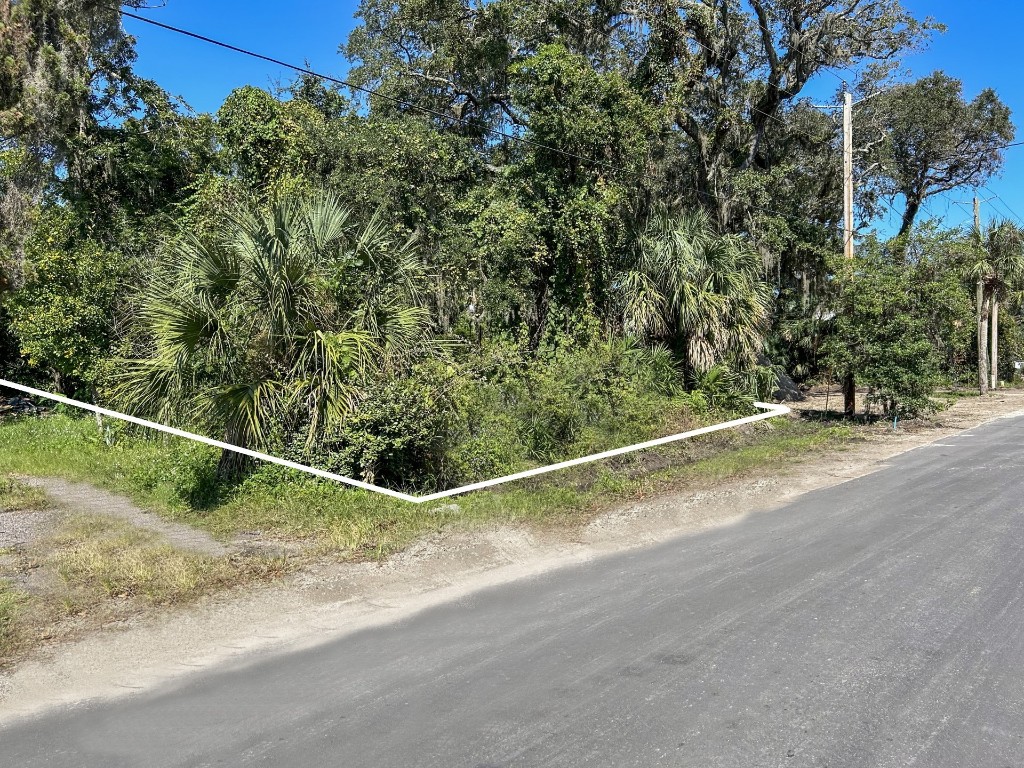 Lewis Street (lot 9), Fernandina Beach, Florida image 6