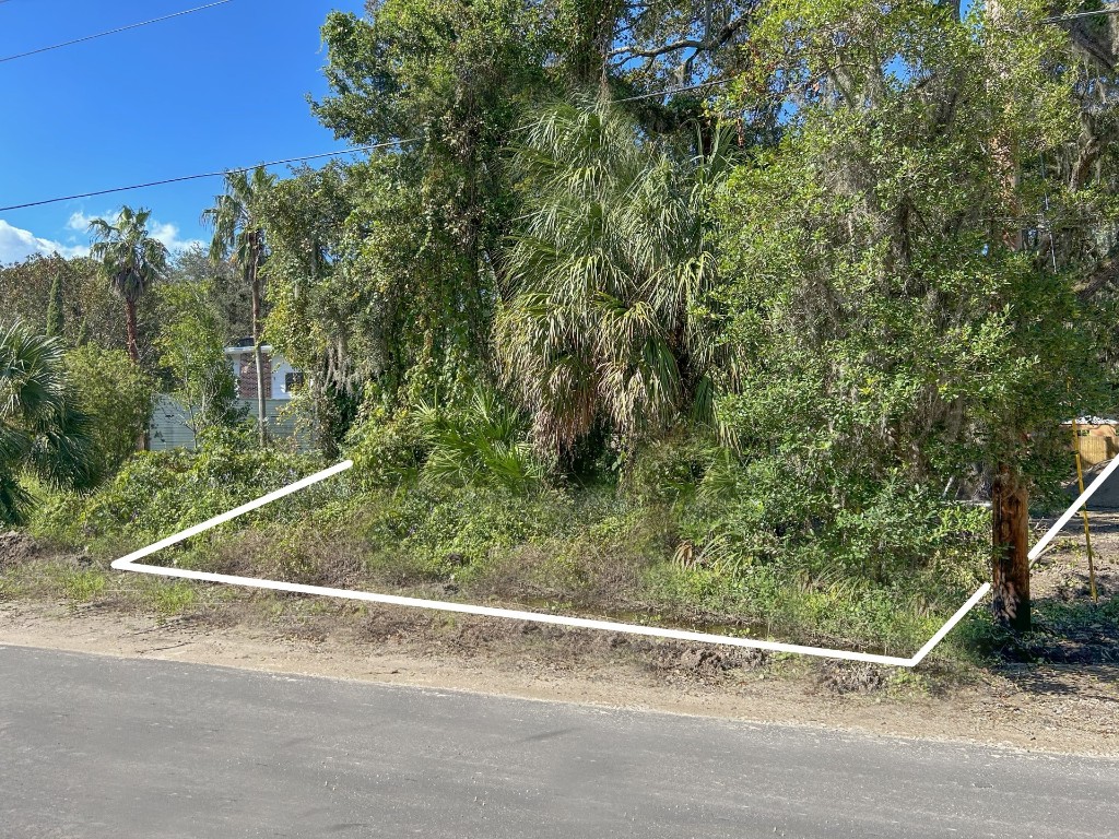 Lewis Street (lot 9), Fernandina Beach, Florida image 8