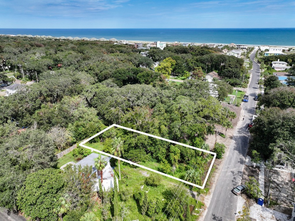 Lewis Street (lot 9), Fernandina Beach, Florida image 1