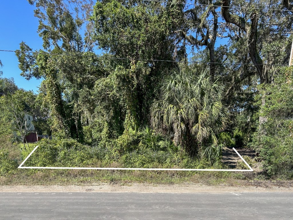 Lewis Street (lot 9), Fernandina Beach, Florida image 7