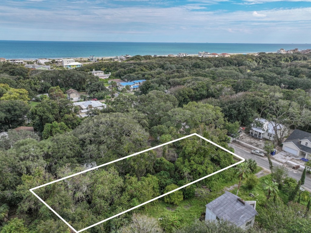 Lewis Street (lot 9), Fernandina Beach, Florida image 12