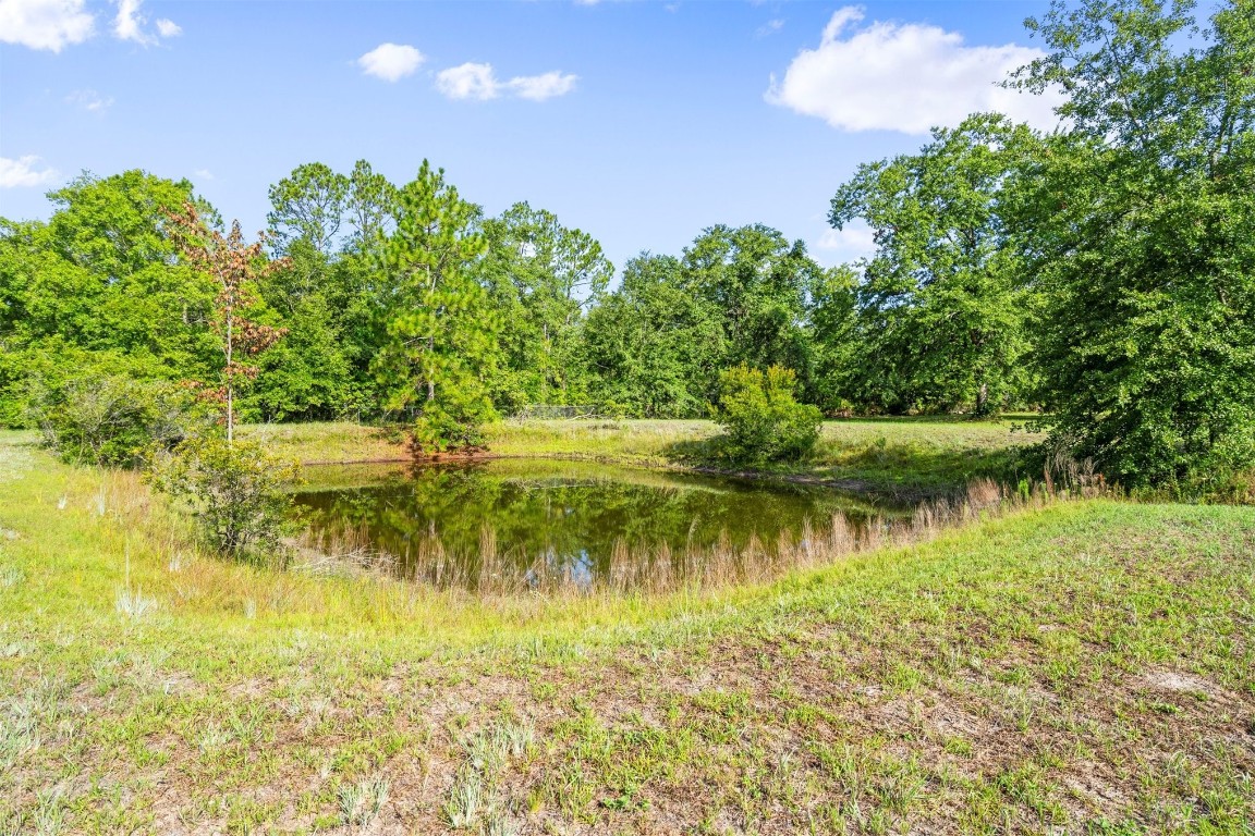 24929 Crawford Road, Callahan, Florida image 11