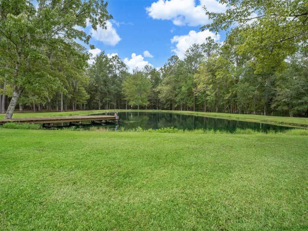 43520 Freedom Drive, Callahan, Florida image 36