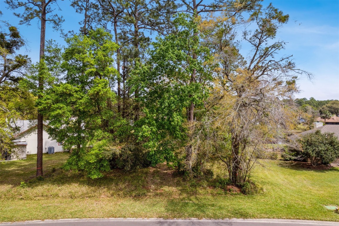 Lot 64 Otter Run Drive, Fernandina Beach, Florida image 4