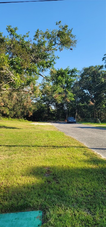 309 N 10th Street, Fernandina Beach, New Mexico image 3