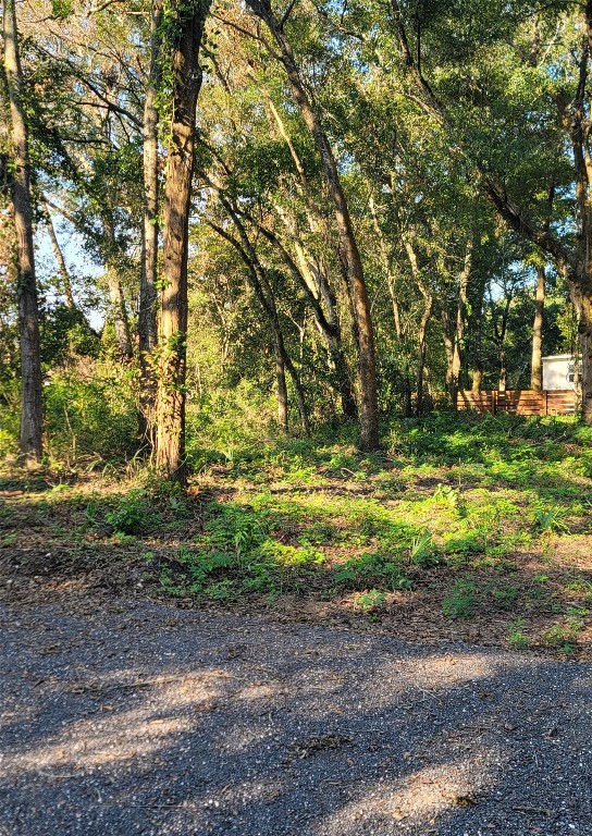 309 N 10th Street, Fernandina Beach, New Mexico image 7