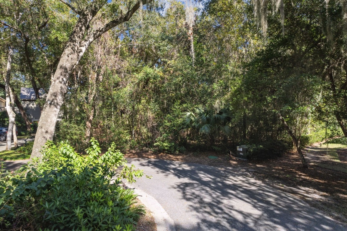 16 Moss Oaks Drive, Fernandina Beach, Florida image 10