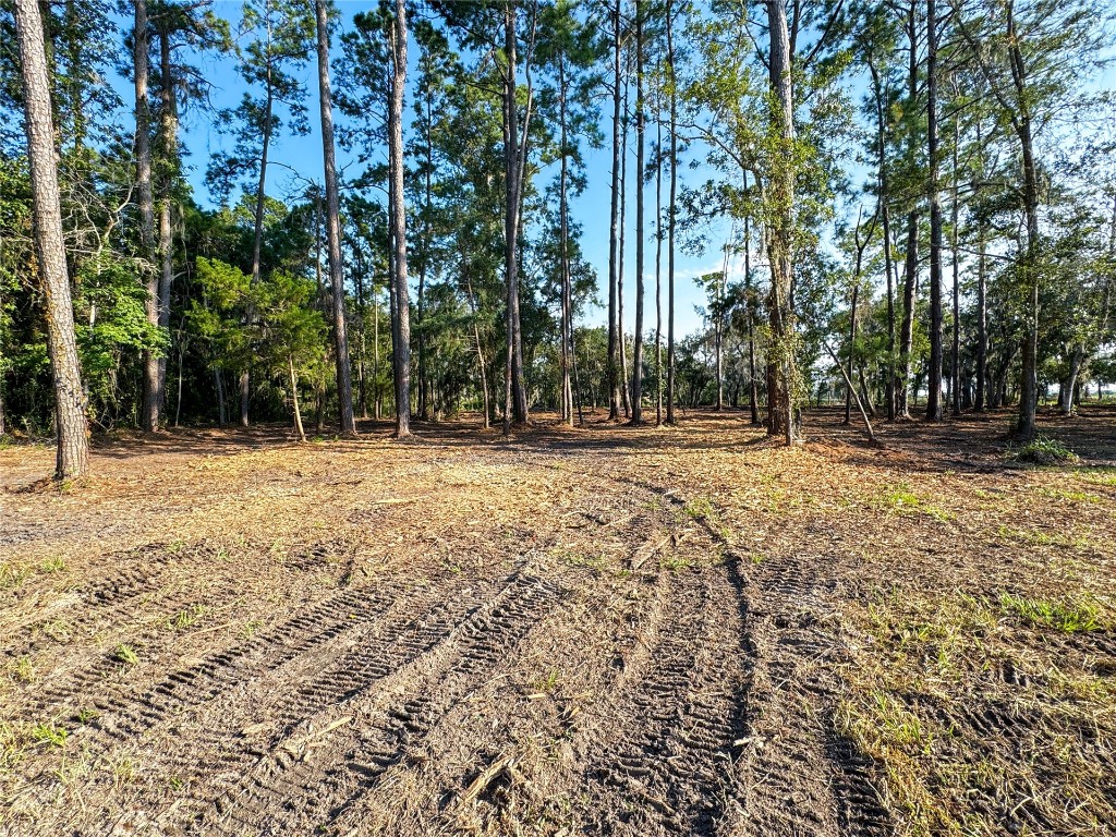 210 Bonnieview Road, Fernandina Beach, Florida image 3