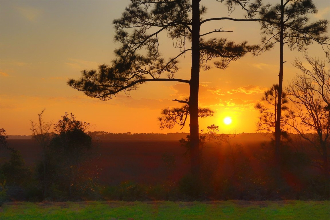 1321 Hickory Nut Court, Amelia Island, Florida image 29