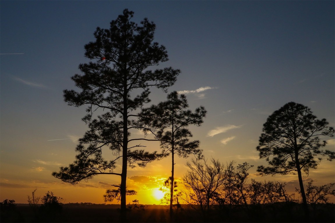 1321 Hickory Nut Court, Amelia Island, Florida image 32