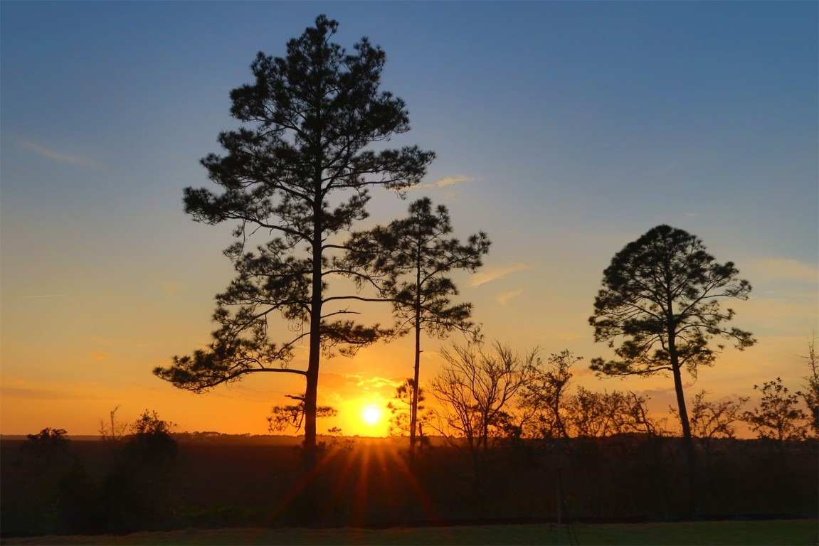 1321 Hickory Nut Court, Amelia Island, Florida image 28