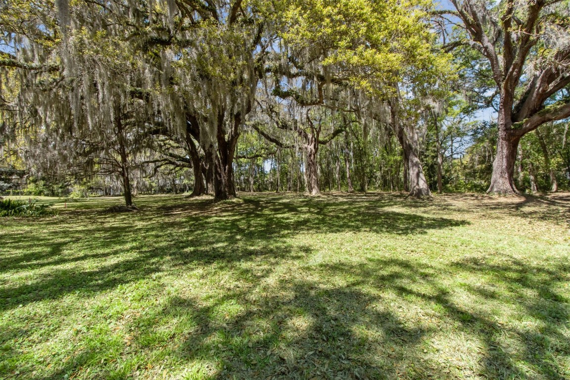 Amelia Road, Fernandina Beach, Florida image 7