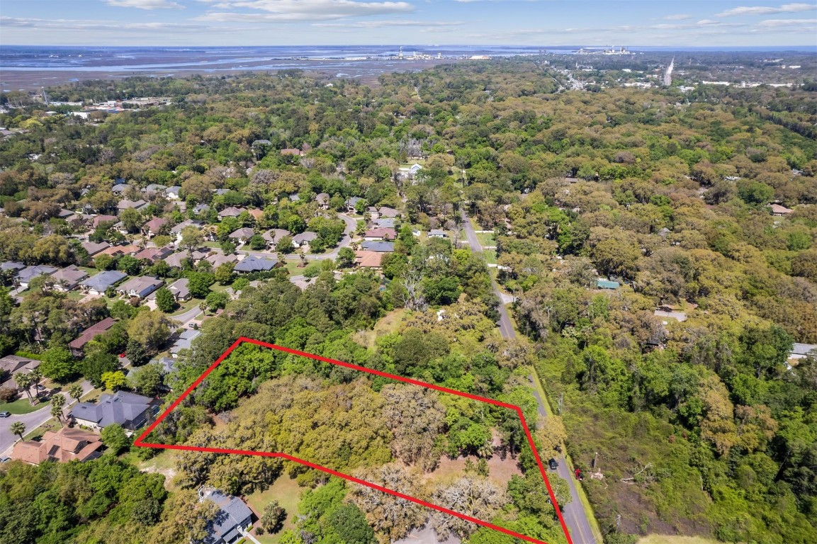 Amelia Road, Fernandina Beach, Florida image 11