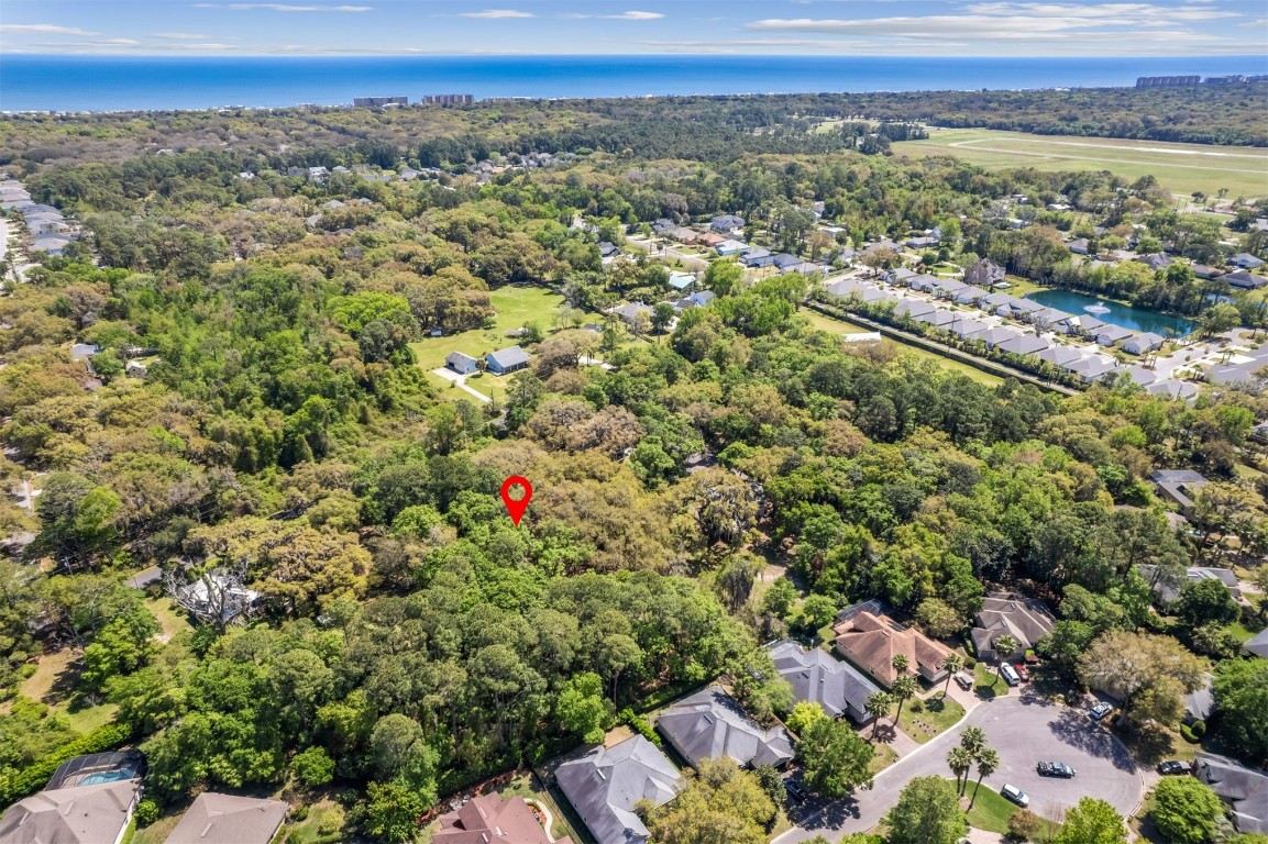 Amelia Road, Fernandina Beach, Florida image 15