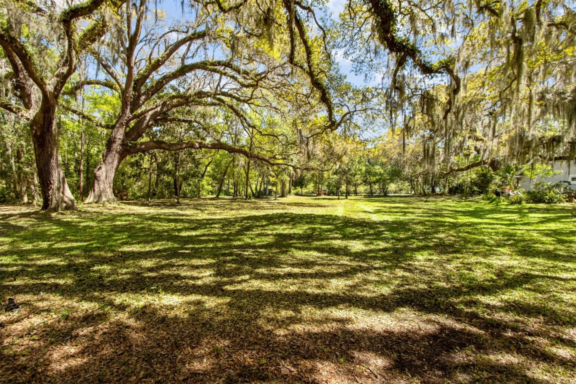 Amelia Road, Fernandina Beach, Florida image 1