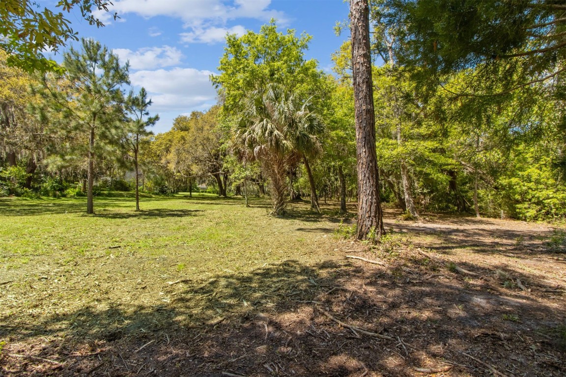Amelia Road, Fernandina Beach, Florida image 5