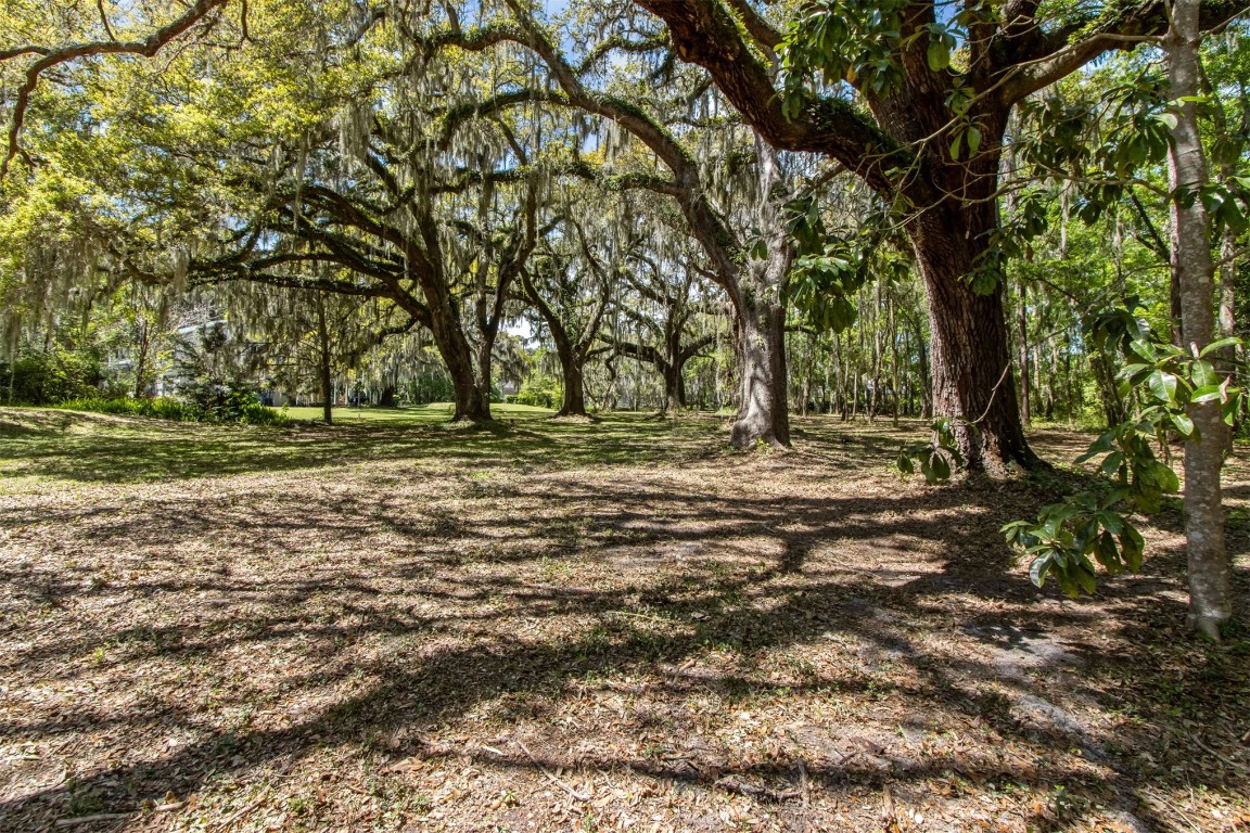 Amelia Road, Fernandina Beach, Florida image 3