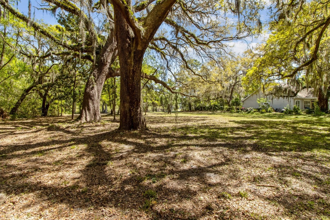 Amelia Road, Fernandina Beach, Florida image 4