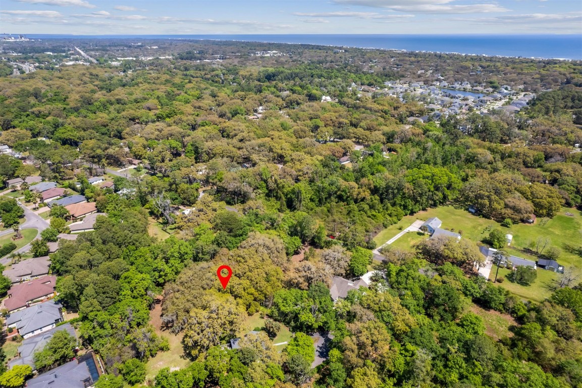 Amelia Road, Fernandina Beach, Florida image 10
