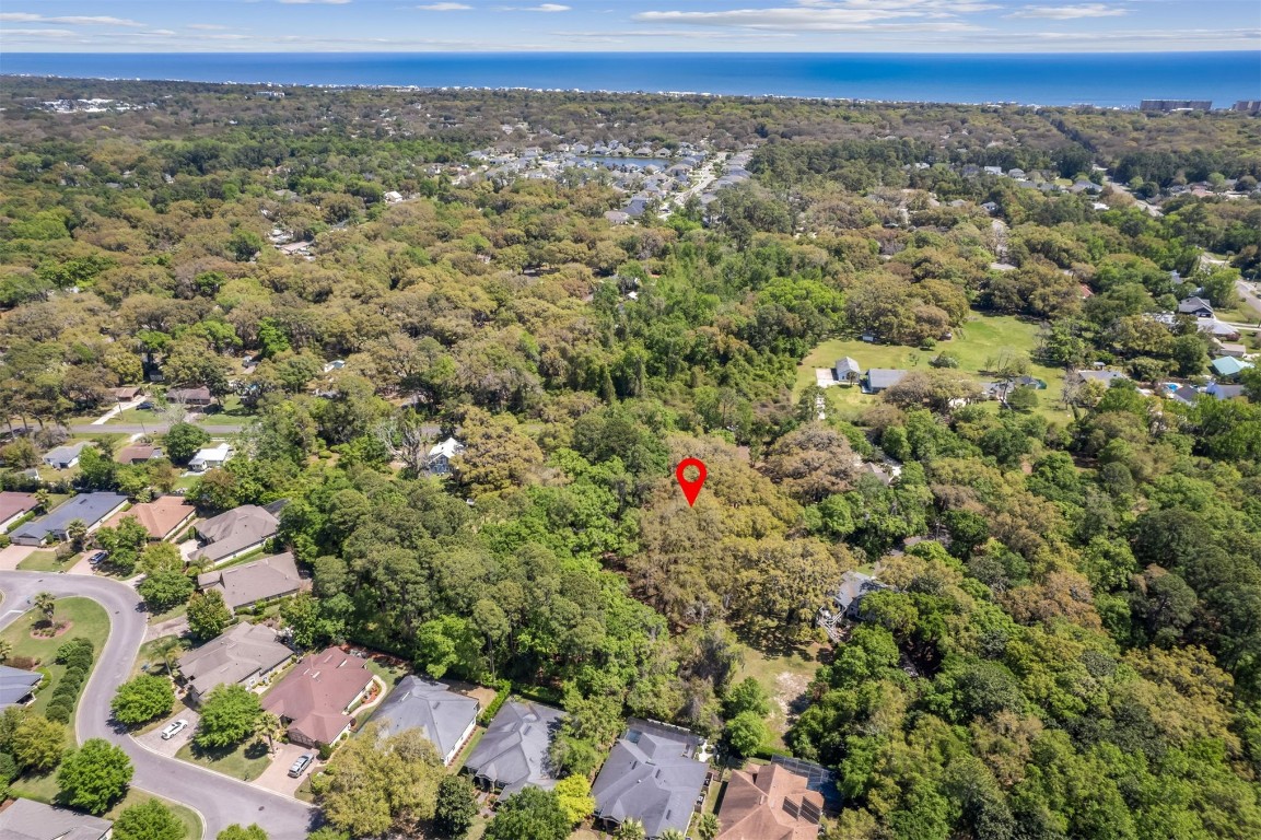 Amelia Road, Fernandina Beach, Florida image 16