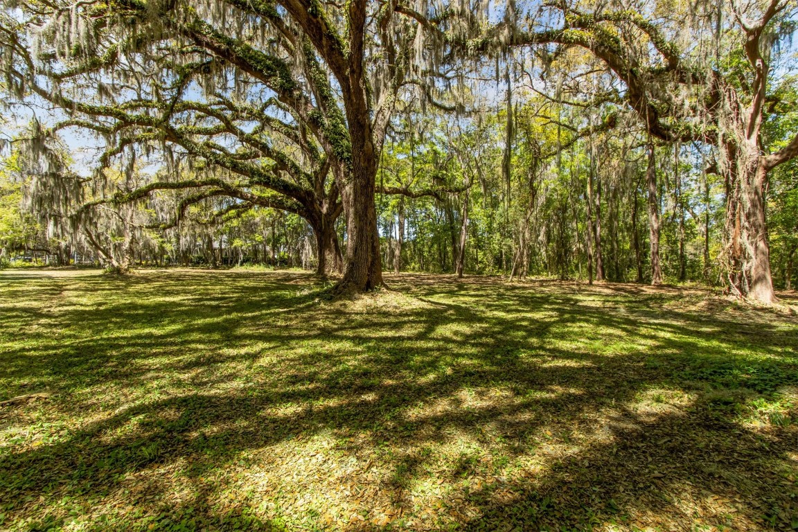 Amelia Road, Fernandina Beach, Florida image 2