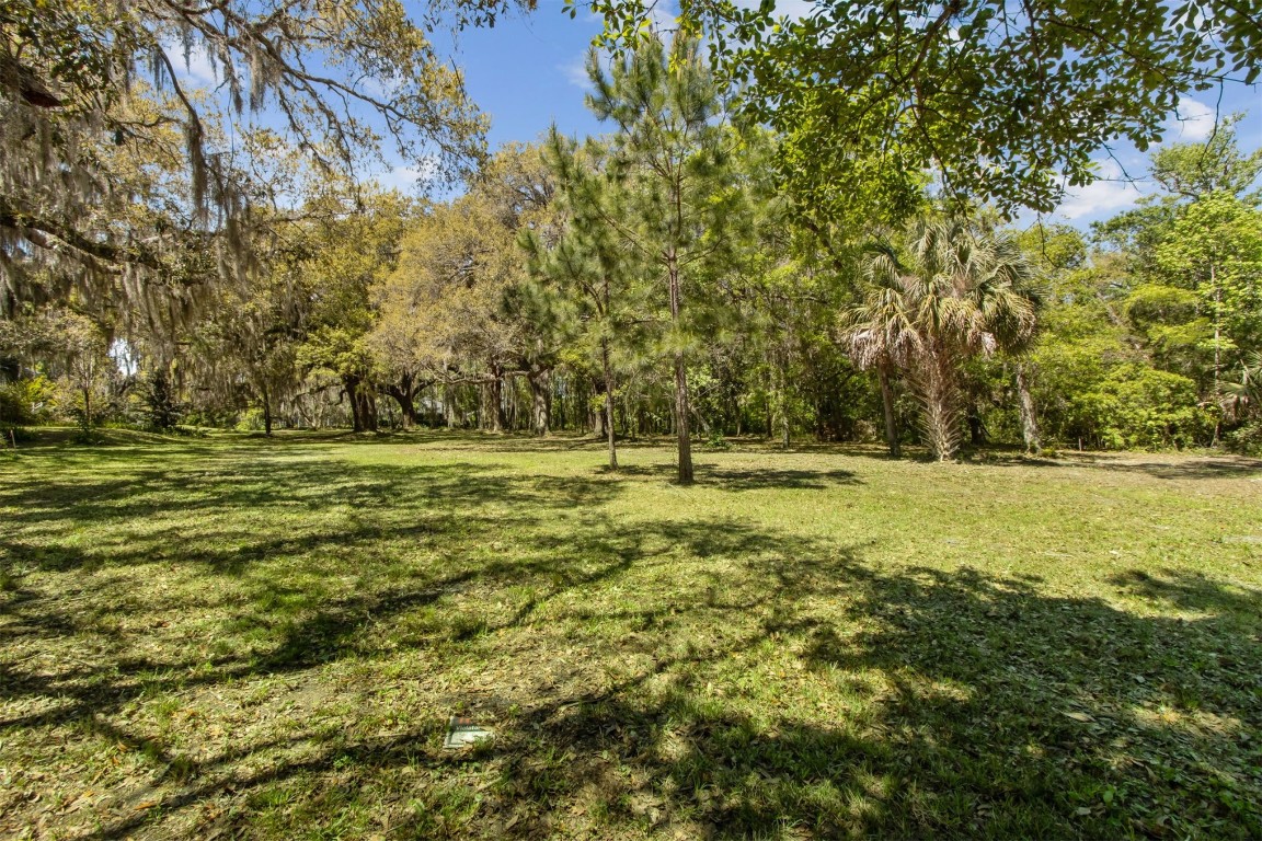 Amelia Road, Fernandina Beach, Florida image 6