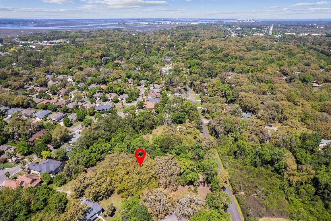 Amelia Road, Fernandina Beach, Florida image 12